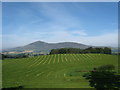 The fields of Loanhead Farm in South Lanarkshire