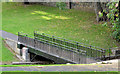 J3376 : Footbridge, Queen Mary's Gardens, Belfast by Albert Bridge