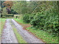 Track at Corriedoo towards Dagliesh