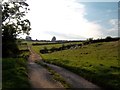 Track and Bridleway  to Riddings