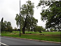 Streatham Common North