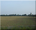 Farmland east of Wike Well End