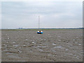TL9505 : Mudflats at St Lawrence Bay by Roger Jones