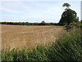 Farmland east of Rothwell