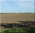 Farmland near Champion Farm