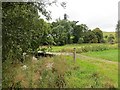 Border Abbeys Way waymark, Woll