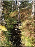 NM7569 : Small stream near Loch Shiel by Steven Brown