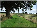 Footpath And Paddock