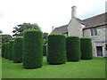 ST8159 : Topiary, Westwood Manor by HelenK