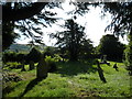 Frome Vauchurch Parish Churchyard (f)