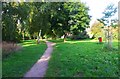 Path through the trees, Spennells, Kidderminster