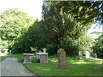 SY5292 : St Michael, Askerswell: churchyard (h) by Basher Eyre
