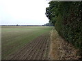 TA1366 : Farmland and hedgerow by JThomas