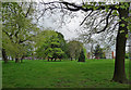 Whitworth Park, Manchester (1)