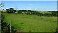 Pastures on the edge of moorland