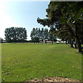 Tree-lined football pitch in Parc Y Werin, Gorseinon