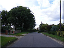 TG2503 : Caistor Lane, Caistor St.Edmund by Geographer