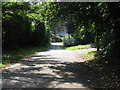 SU7826 : Stodham Lane near Hill Brow by Dave Spicer