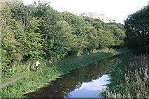 NT0576 : Union Canal near Philpstoun by Anne Burgess