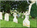 Holy Trinity Old Churchyard, Bothenhampton (D)