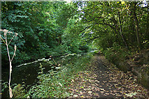 NT0876 : Union Canal Towpath by Anne Burgess