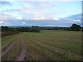 Big field near Richards Castle