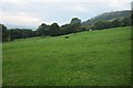 Farmland near Llanwnog