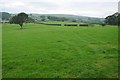 Farmland near Llanwnog