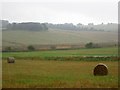 Round bales, Myrecairnie