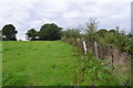 Sussex Border Path towards Earlye Farm