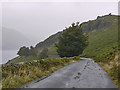 NY4712 : The Haweswater road near Whiteacre Crag by Nigel Brown