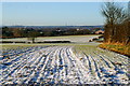 Snowy Furrows