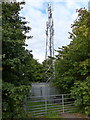 Mobile phone mast along the Airport Trail