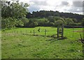 Am Brook valley