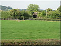 Railway bridge at Redlands Farm