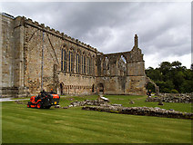 SE0754 : Maintaining the Priory grounds by Stephen Craven