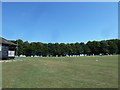 Cricket match in progress at Hinton St Mary