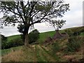 Ffarm Nant-goch / Nant-goch Farm