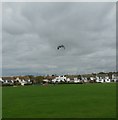 Kite Flying, Goring-By-Sea