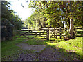 Harps Oak Lane:  Kissing gate and footpath