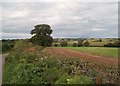 Rural Scene to the North of Ednaston