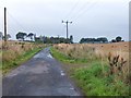 Minor road to Kippenross Farm