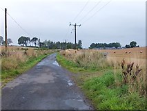 NN7900 : Minor road to Kippenross Farm by Barbara Carr