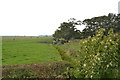 Dow Brook and Meadow, Preston New Road, Freckleton