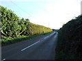 Homestall Lane, near Goodnestone