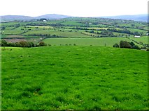 H4181 : The green Beltany fields by Kenneth  Allen