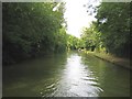 Grand Union Canal: Reach in Stoke Hammond