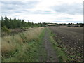 Bridleway near Belle Green, Cudworth