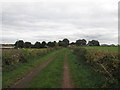 SE3811 : Track towards Manor Farm, Shafton by John Slater
