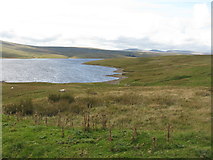 NY8030 : Cow Green Reservoir by G Laird